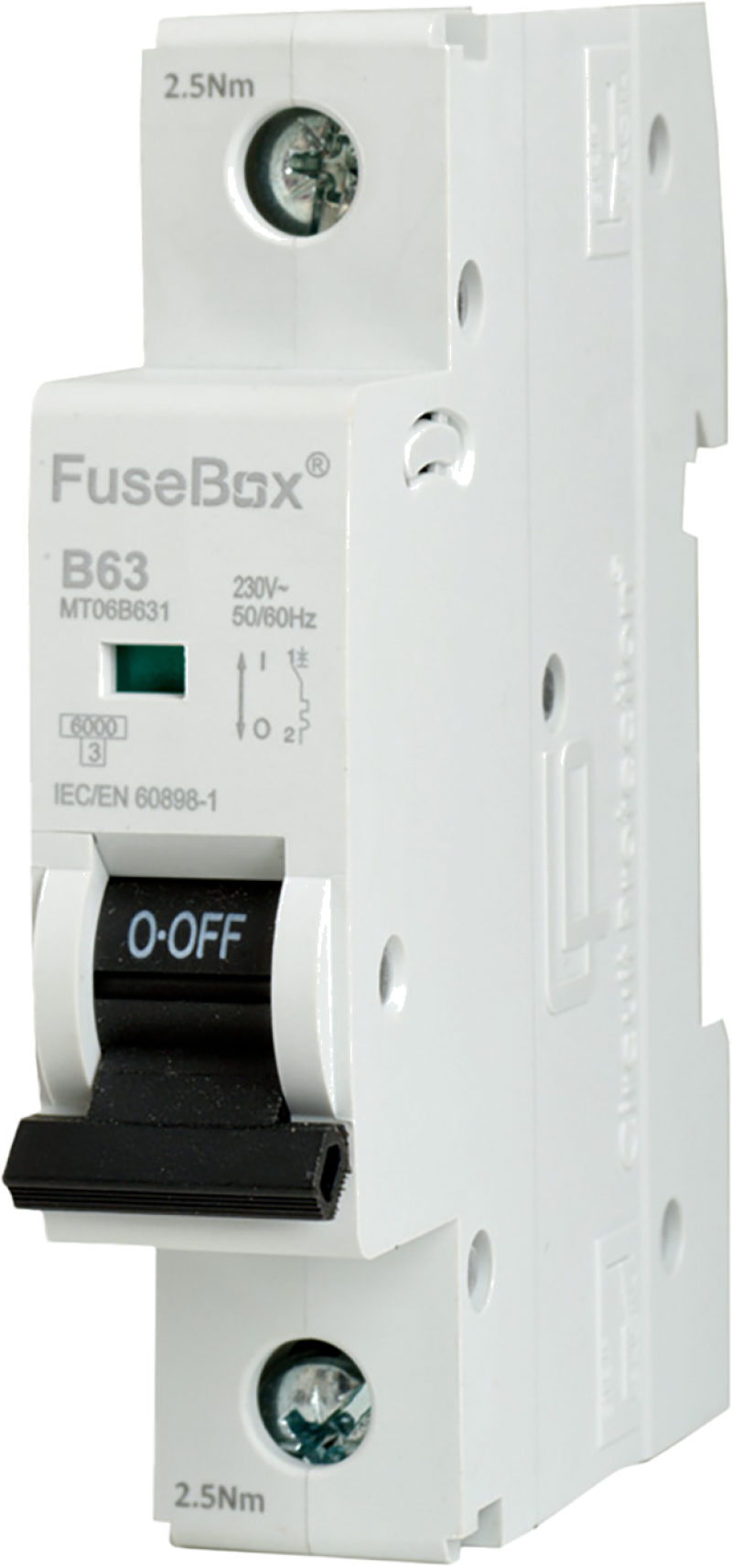 Fusebox 63A B TYPE MCB 10KA 1P